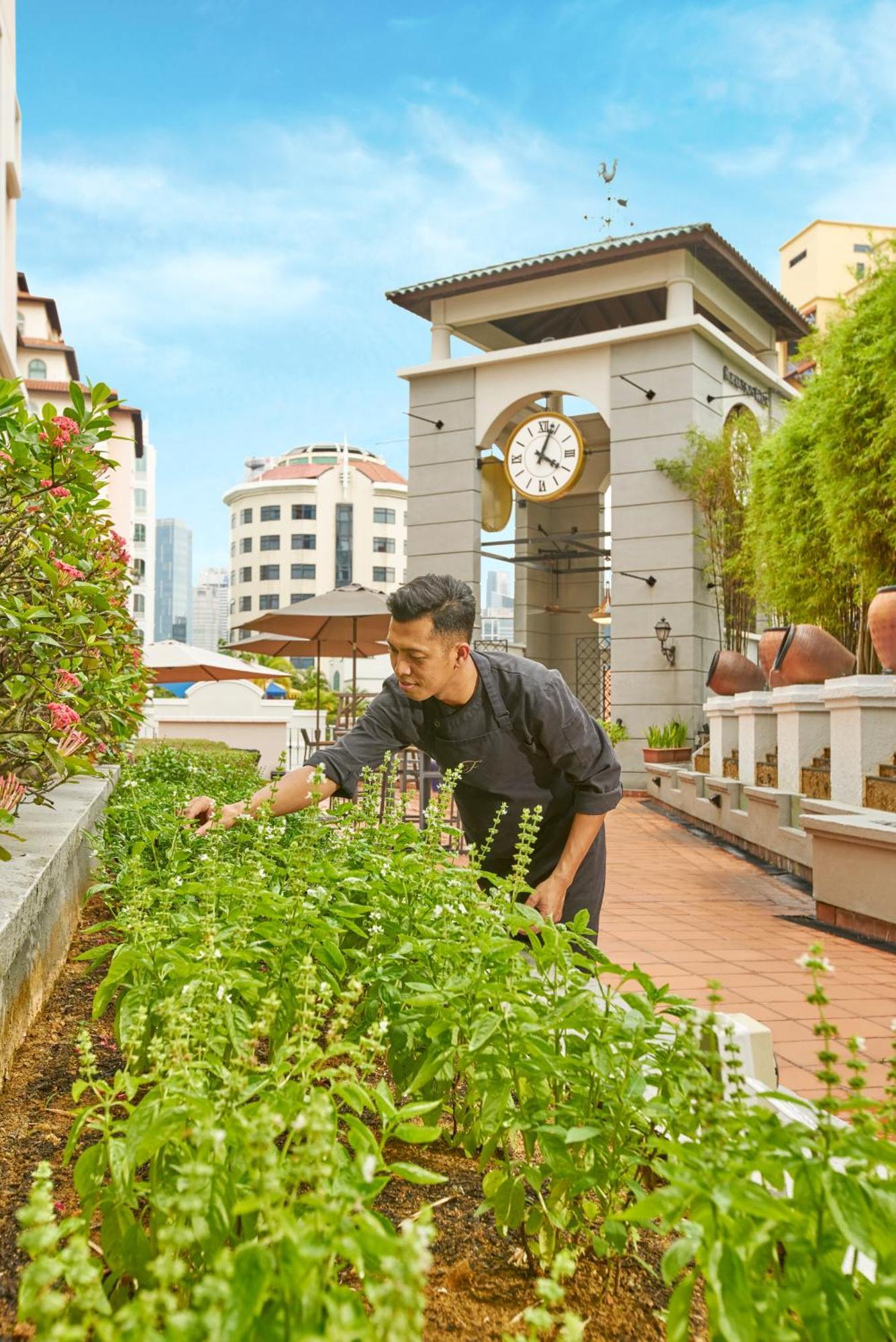 Fraser Place Robertson Walk Singapur Exterior foto Chef at work at the hotel's rooftop garden